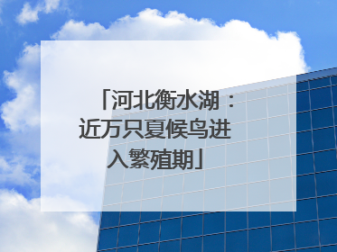 河北衡水湖：近万只夏候鸟进入繁殖期