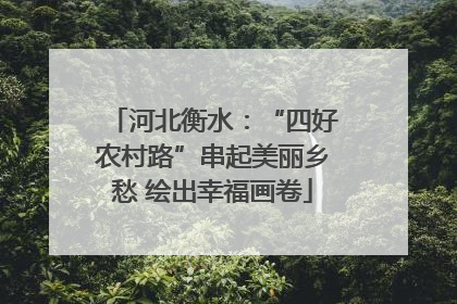 河北衡水：“四好农村路”串起美丽乡愁 绘出幸福画卷