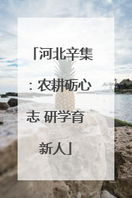 河北辛集：农耕砺心志 研学育新人