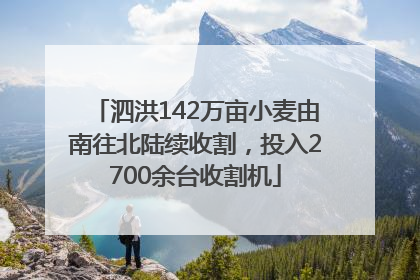 泗洪142万亩小麦由南往北陆续收割，投入2700余台收割机