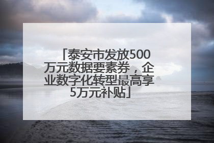 泰安市发放500万元数据要素券，企业数字化转型最高享5万元补贴