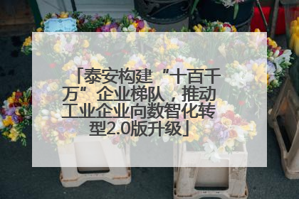 泰安构建“十百千万”企业梯队，推动工业企业向数智化转型2.0版升级