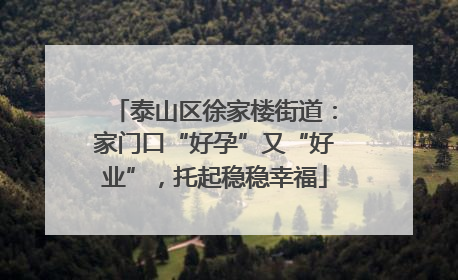 泰山区徐家楼街道：家门口“好孕”又“好业”，托起稳稳幸福