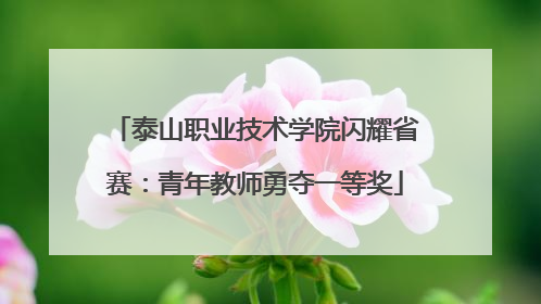泰山职业技术学院闪耀省赛：青年教师勇夺一等奖