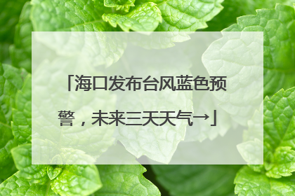 海口发布台风蓝色预警，未来三天天气→