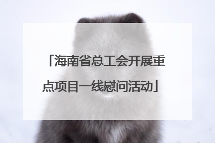 海南省总工会开展重点项目一线慰问活动