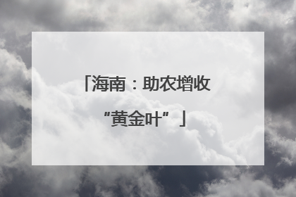海南：助农增收 “黄金叶”