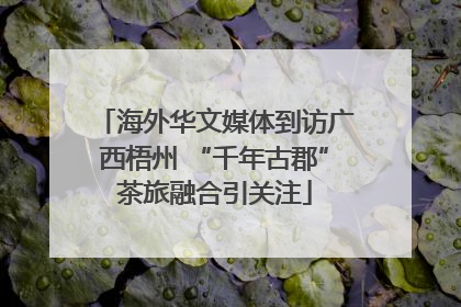 海外华文媒体到访广西梧州 “千年古郡”茶旅融合引关注