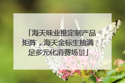 海天味业推定制产品矩阵，海天金标生抽满足多元化消费场景