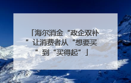 海尔消金“政企双补”让消费者从“想要买”到“买得起”
