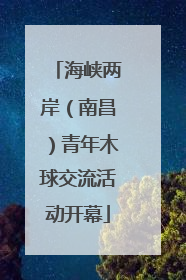 海峡两岸（南昌）青年木球交流活动开幕