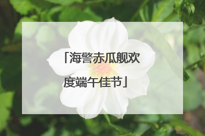 海警赤瓜舰欢度端午佳节