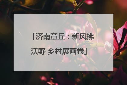 济南章丘：新风拂沃野 乡村展画卷