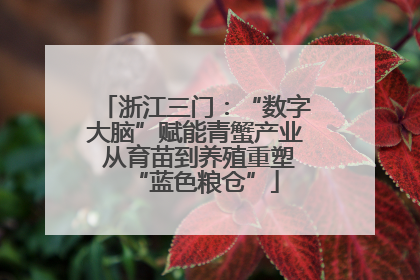 浙江三门：“数字大脑”赋能青蟹产业 从育苗到养殖重塑“蓝色粮仓”