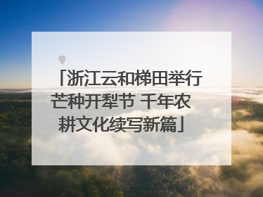 浙江云和梯田举行芒种开犁节 千年农耕文化续写新篇
