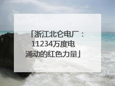 浙江北仑电厂：11234万度电涌动的红色力量