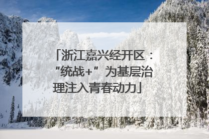 浙江嘉兴经开区：“统战+”为基层治理注入青春动力