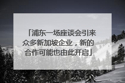 浦东一场座谈会引来众多新加坡企业，新的合作可能也由此开启