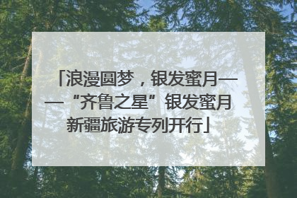 浪漫圆梦，银发蜜月——“齐鲁之星”银发蜜月新疆旅游专列开行