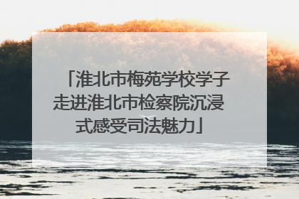 淮北市梅苑学校学子走进淮北市检察院沉浸式感受司法魅力