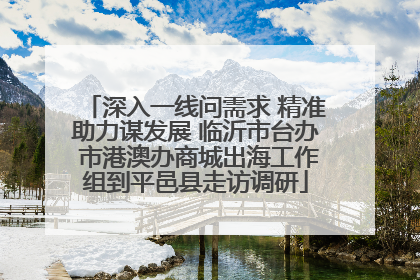 深入一线问需求 精准助力谋发展 临沂市台办 市港澳办商城出海工作组到平邑县走访调研