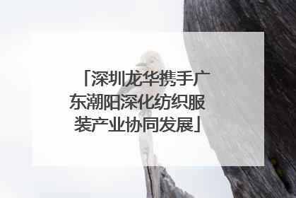深圳龙华携手广东潮阳深化纺织服装产业协同发展