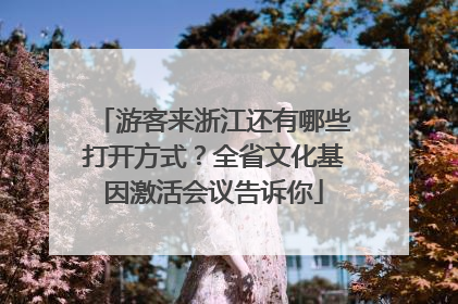 游客来浙江还有哪些打开方式？全省文化基因激活会议告诉你