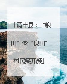 清丰县：“粮田”变“良田”村民笑开颜