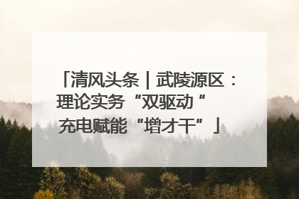 清风头条｜武陵源区：理论实务“双驱动 ” 充电赋能“增才干”