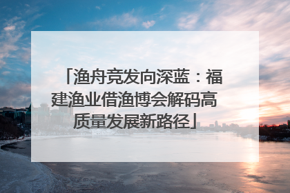 渔舟竞发向深蓝：福建渔业借渔博会解码高质量发展新路径