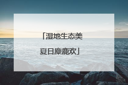湿地生态美 夏日麋鹿欢