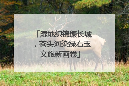 湿地织锦缀长城，苍头河染绿右玉文旅新画卷