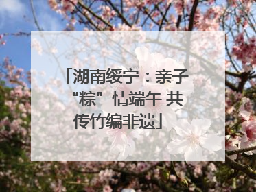 湖南绥宁：亲子“粽”情端午 共传竹编非遗