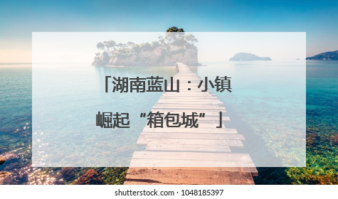 湖南蓝山：小镇崛起“箱包城”