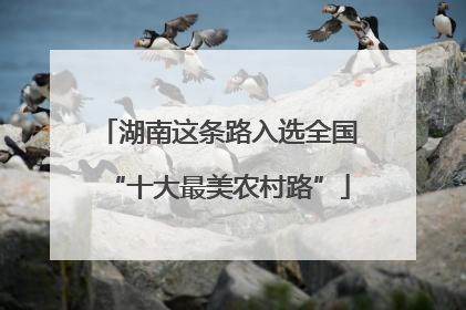 湖南这条路入选全国“十大最美农村路”