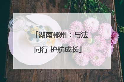 湖南郴州：与法同行 护航成长