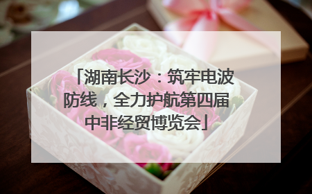 湖南长沙：筑牢电波防线，全力护航第四届中非经贸博览会