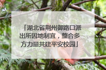 湖北省荆州御路口派出所因地制宜，整合多方力量共建平安校园