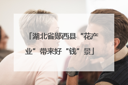湖北省郧西县“花产业”带来好“钱”景