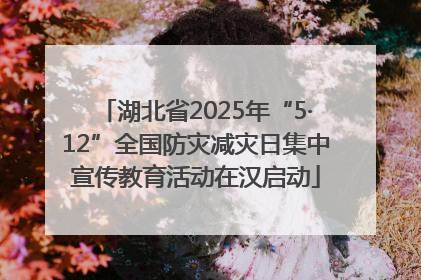 湖北省2025年“5·12”全国防灾减灾日集中宣传教育活动在汉启动