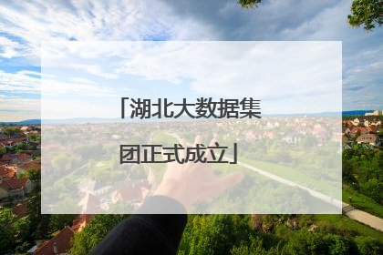 湖北大数据集团正式成立