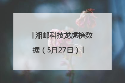 湘邮科技龙虎榜数据（5月27日）