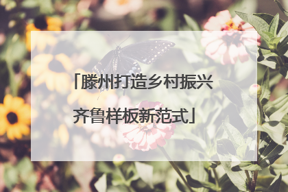 滕州打造乡村振兴齐鲁样板新范式