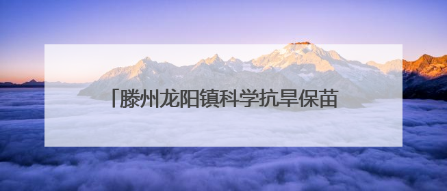 滕州龙阳镇科学抗旱保苗 力保万亩农田“解渴”