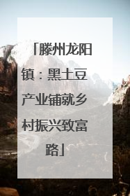 滕州龙阳镇：黑土豆产业铺就乡村振兴致富路