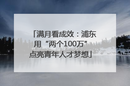 满月看成效：浦东用“两个100万”点亮青年人才梦想