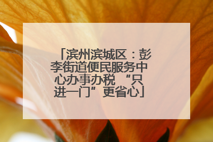 滨州滨城区：彭李街道便民服务中心办事办税 “只进一门”更省心