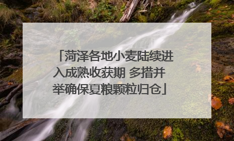 菏泽各地小麦陆续进入成熟收获期 多措并举确保夏粮颗粒归仓