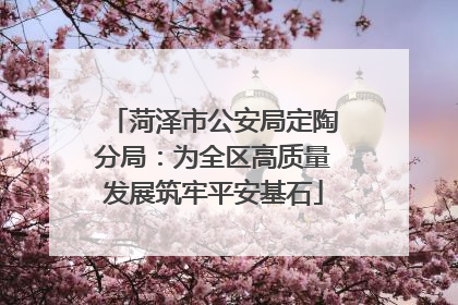 菏泽市公安局定陶分局：为全区高质量发展筑牢平安基石