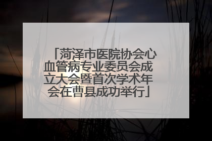 菏泽市医院协会心血管病专业委员会成立大会暨首次学术年会在曹县成功举行